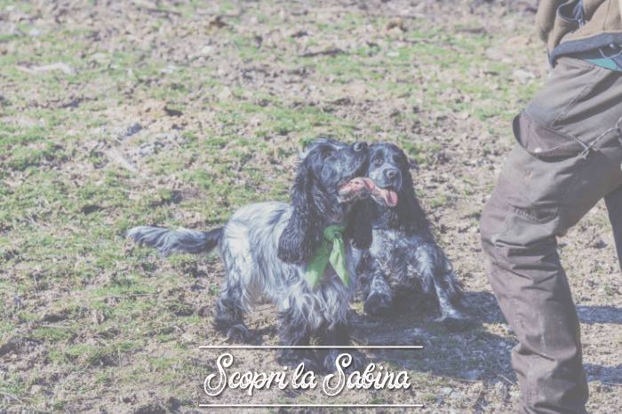 Trekking & Tartufi in Sabina